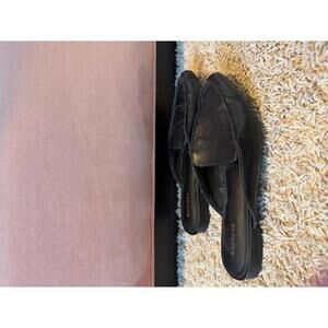 Express- Pointed‎ Toe Slide Mules